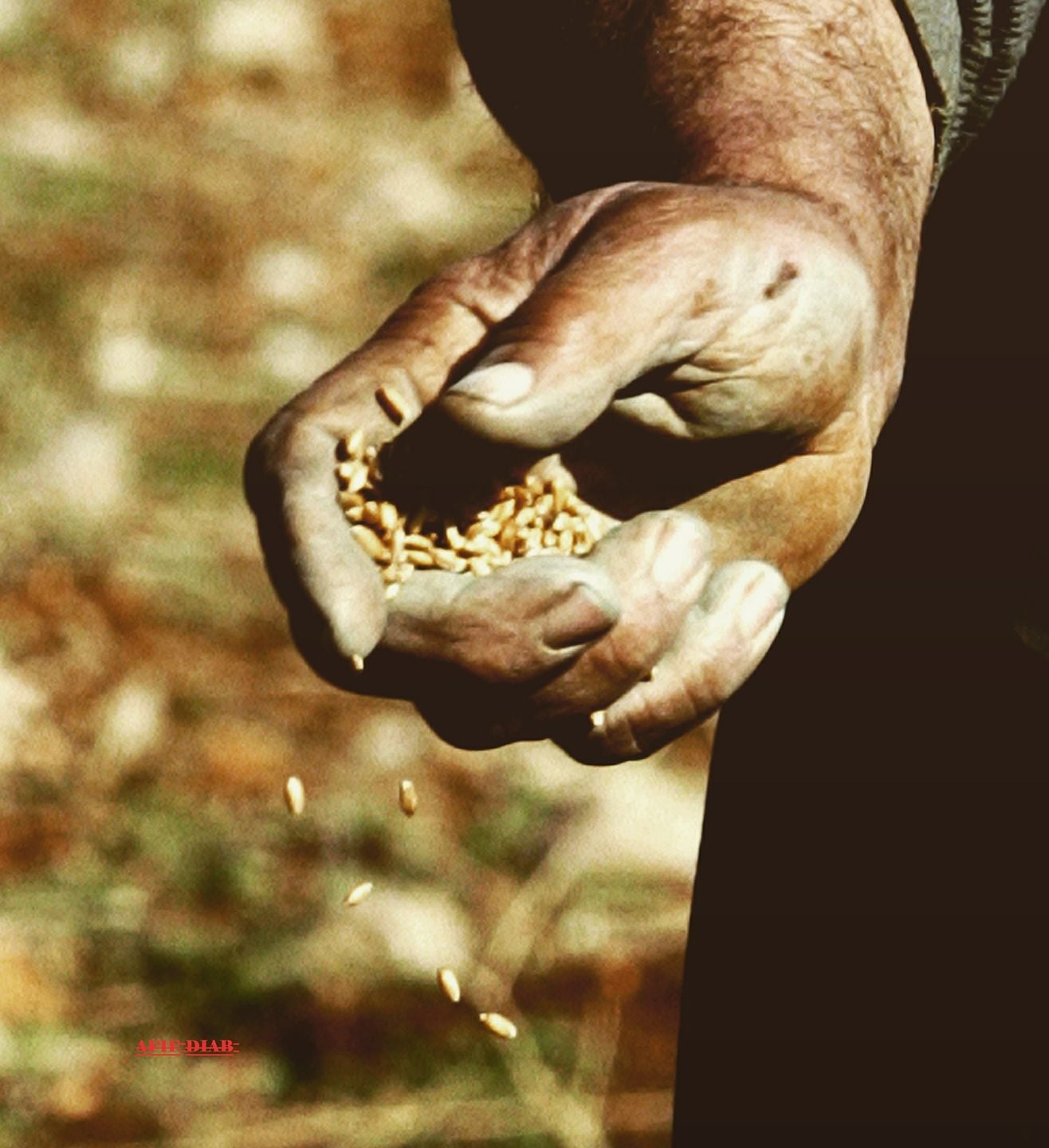 جبهة المقاومة الوطنية اللبنانية